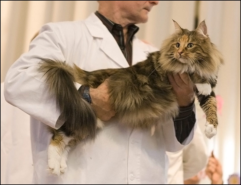 Inconnu 12.jpg - Inconnu